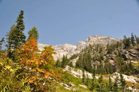 Algumas árvores antecipam o Outono na nossa trilha no Grand Teton National Park, no Wyoming, nos Estados Unidos